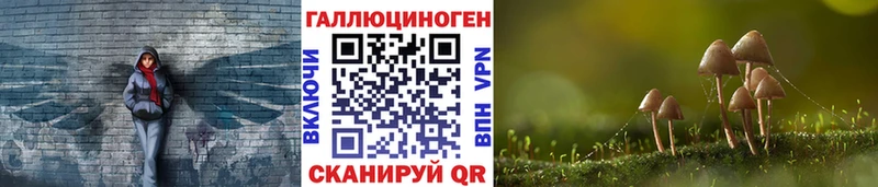 Псилоцибиновые грибы ЛСД  blacksprut   Майкоп 