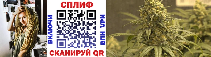Бошки марихуана White Widow  Майкоп 